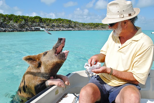 Karibik-Meer-Boot-Mann-Wasserschwein